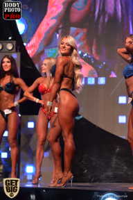SN PRO EXPO - 2017