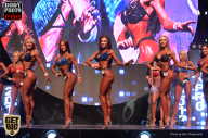 SN PRO EXPO - 2017