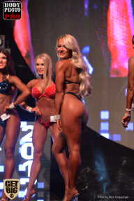 SN PRO EXPO - 2017