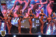 SN PRO EXPO - 2017