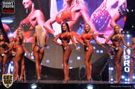 SN PRO EXPO - 2017