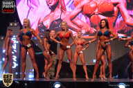 SN PRO EXPO - 2017