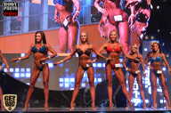 SN PRO EXPO - 2017
