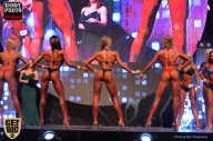 SN PRO EXPO - 2017