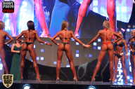 SN PRO EXPO - 2017