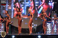 SN PRO EXPO - 2017