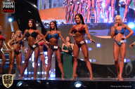 SN PRO EXPO - 2017