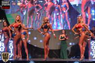 SN PRO EXPO - 2017