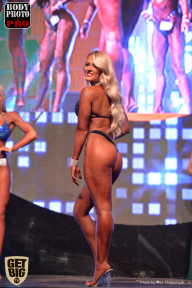 SN PRO EXPO - 2017