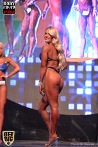 SN PRO EXPO - 2017