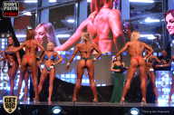 SN PRO EXPO - 2017