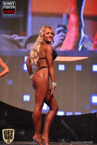 SN PRO EXPO - 2017