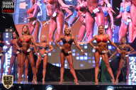 SN PRO EXPO - 2017