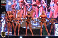 SN PRO EXPO - 2017