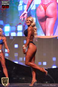 SN PRO EXPO - 2017