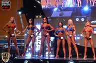 SN PRO EXPO - 2017