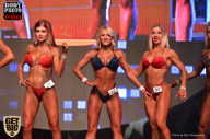 SN PRO EXPO - 2017