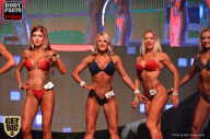 SN PRO EXPO - 2017