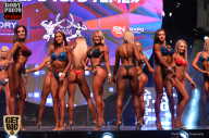 SN PRO EXPO - 2017