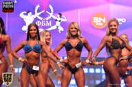 SN PRO EXPO - 2017