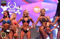 SN PRO EXPO - 2017