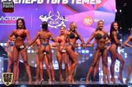 SN PRO EXPO - 2017