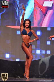 SN PRO EXPO - 2017