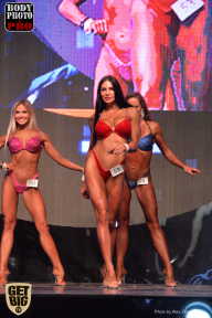 SN PRO EXPO - 2017