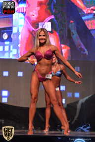 SN PRO EXPO - 2017