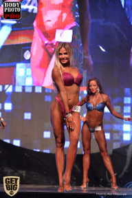 SN PRO EXPO - 2017