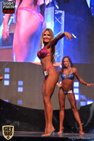 SN PRO EXPO - 2017
