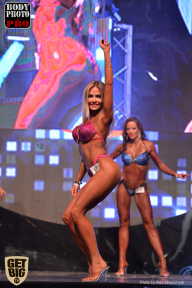 SN PRO EXPO - 2017