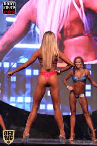 SN PRO EXPO - 2017