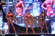 SN PRO EXPO - 2017