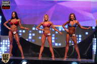 SN PRO EXPO - 2017