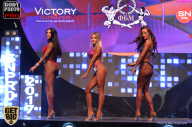 SN PRO EXPO - 2017