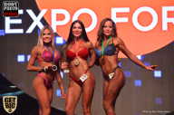 SN PRO EXPO - 2017