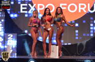 SN PRO EXPO - 2017