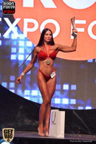 SN PRO EXPO - 2017