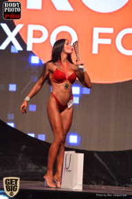 SN PRO EXPO - 2017