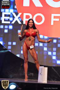 SN PRO EXPO - 2017
