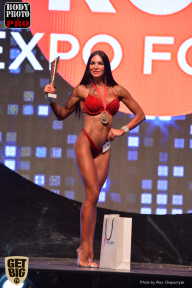 SN PRO EXPO - 2017