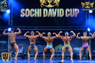 Sochi David Cup - 2017