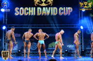 Sochi David Cup - 2017