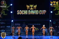 Sochi David Cup - 2017