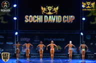 Sochi David Cup - 2017