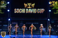 Sochi David Cup - 2017