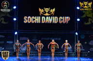 Sochi David Cup - 2017