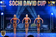 Sochi David Cup - 2017