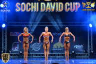 Sochi David Cup - 2017
